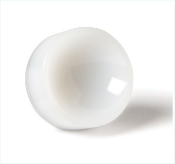 6 2048 Orthoplastics WS Products DCM v1 07