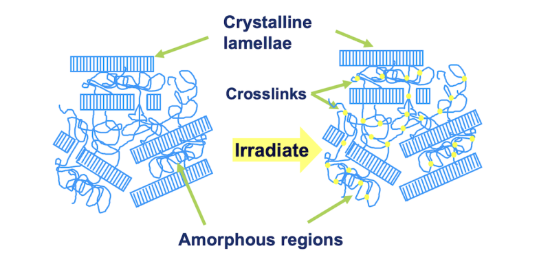 Crosslinking Orthoplastics